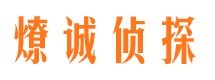 武定市场调查